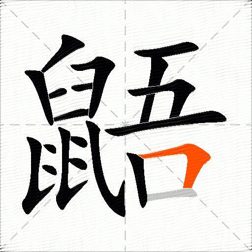鼯
