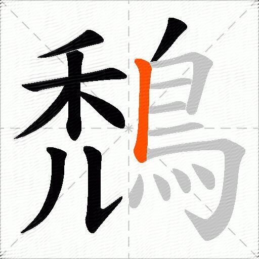 鵚