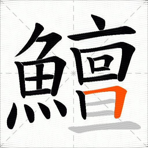 鱣