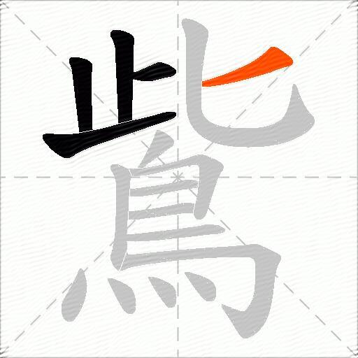 鴜