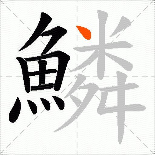 鱗