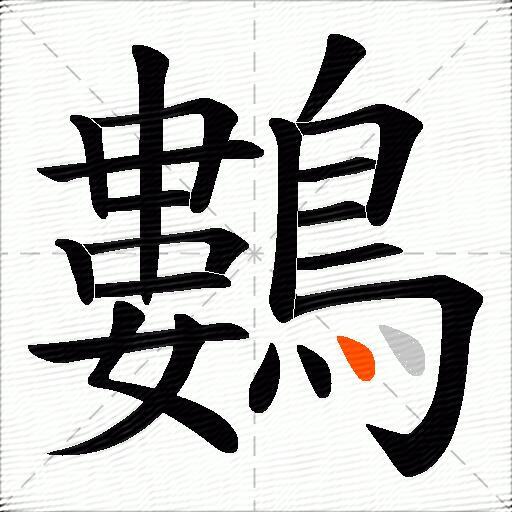鷜