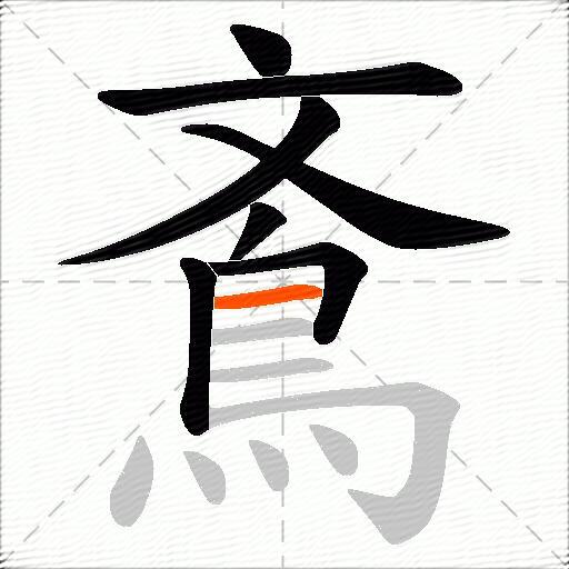 鴍