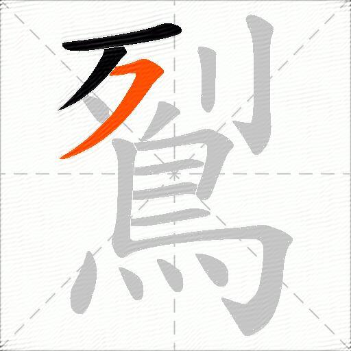 鴷