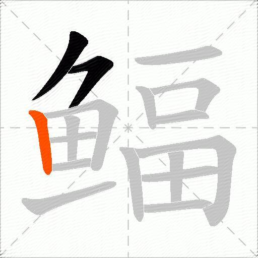 鲾