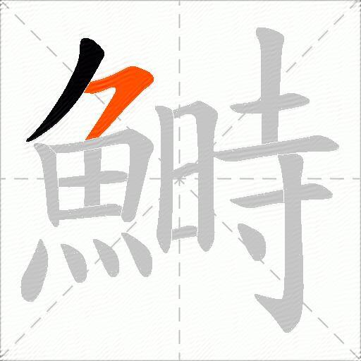 鰣