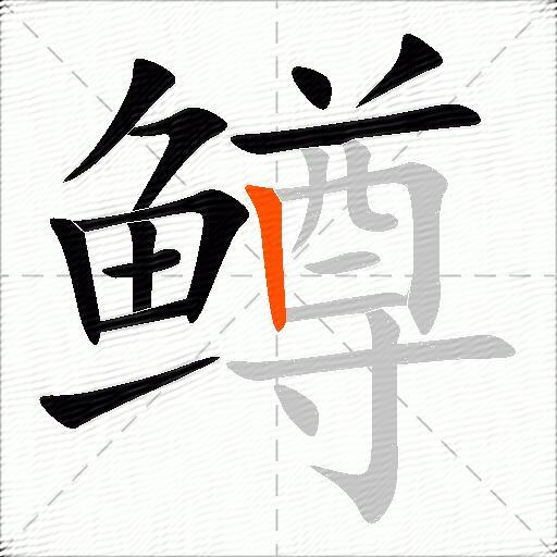 鳟