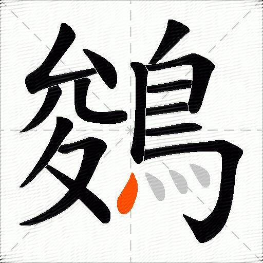 鵕