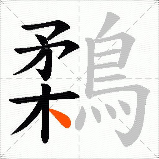 鶔