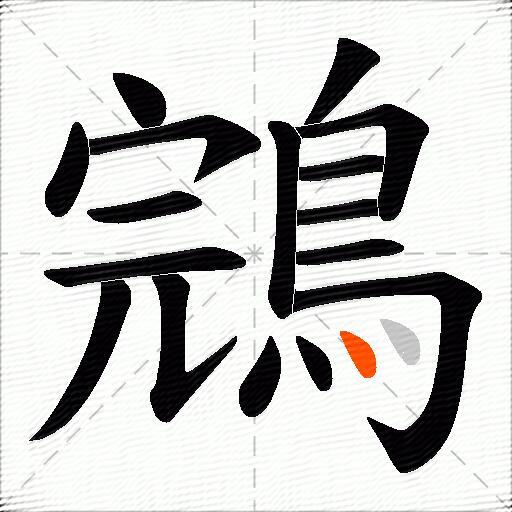 鵍