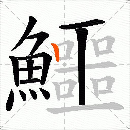 鱷