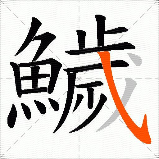 鱥