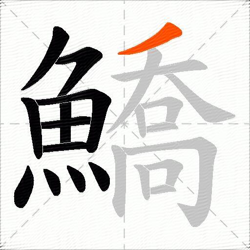 鱎