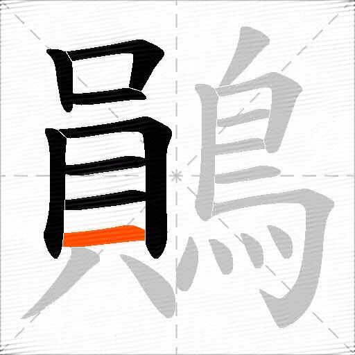鶰
