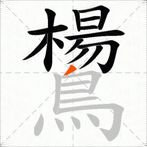 鸉