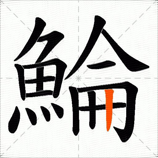 鯩