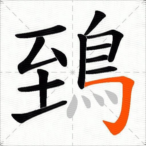 鵄