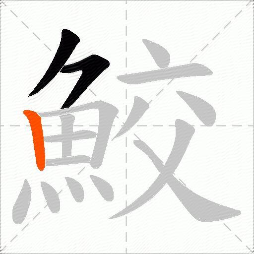鮫