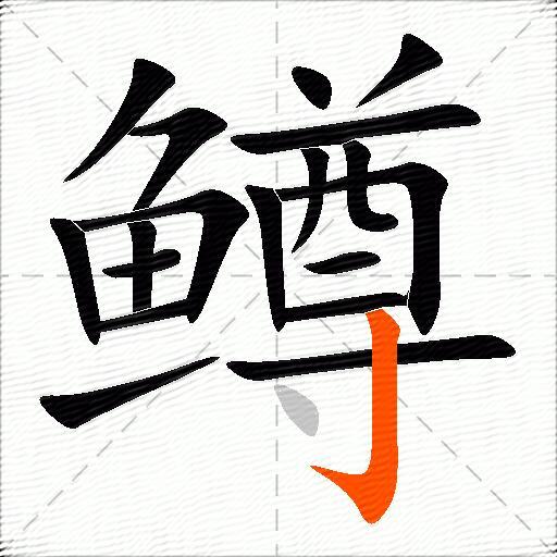 鳟