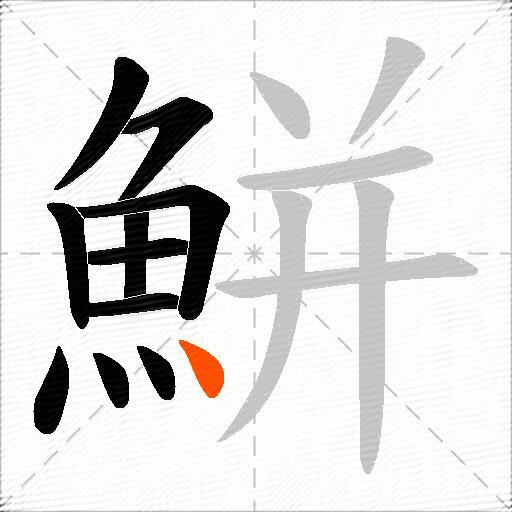 鮩