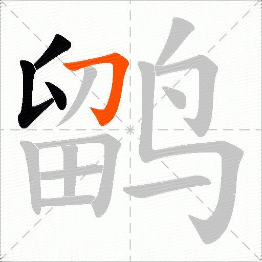 鹠