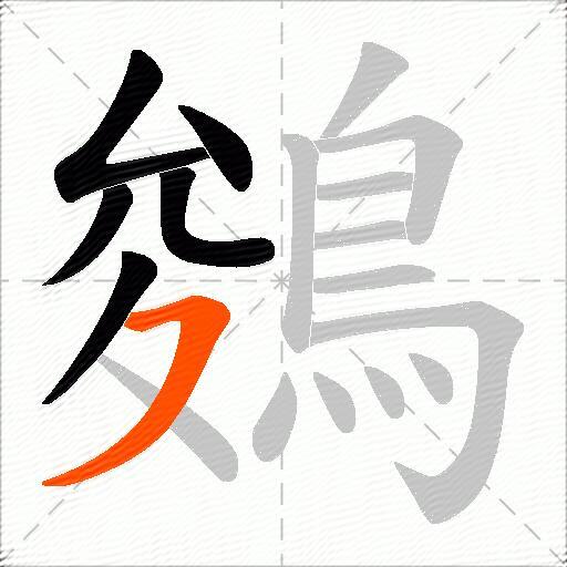 鵕