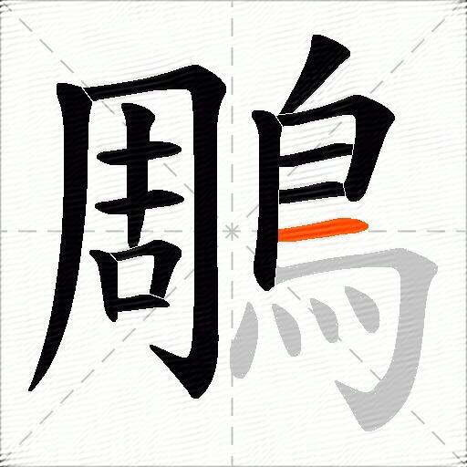 鵰