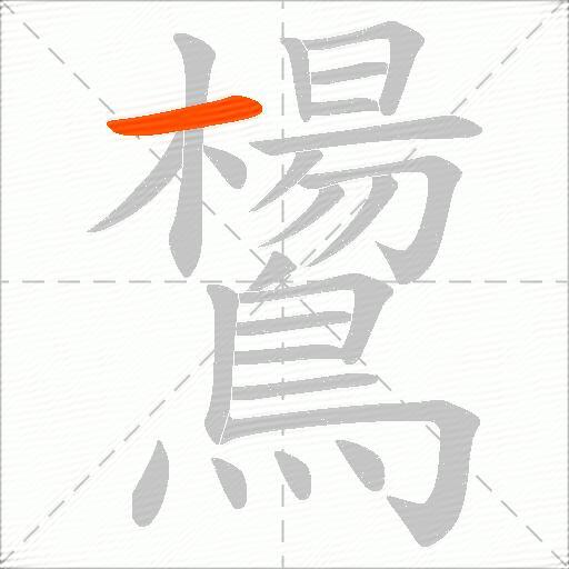 鸉