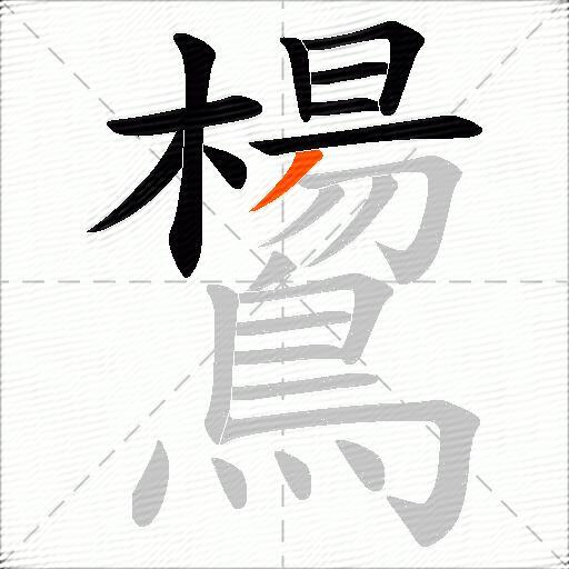 鸉