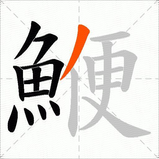 鯾