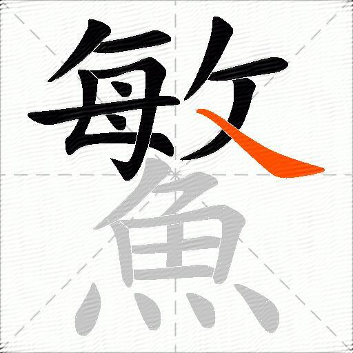鰵