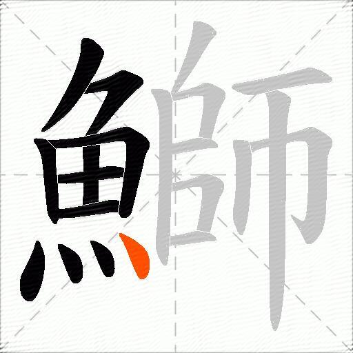 鰤