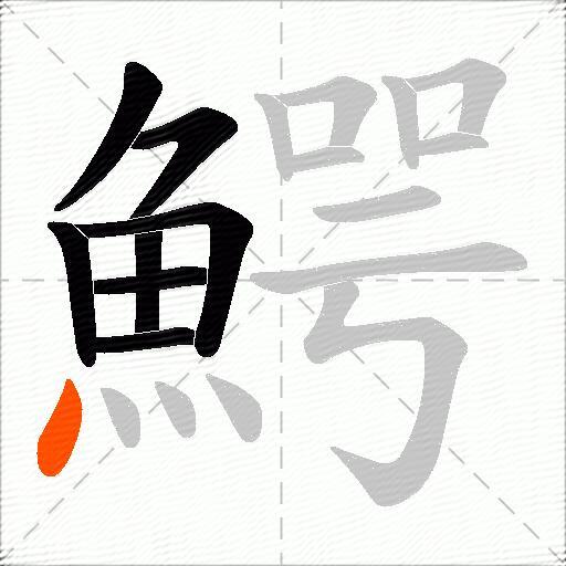 鰐