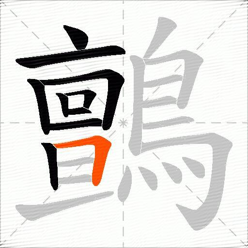 鸇