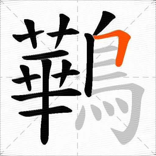 鷨