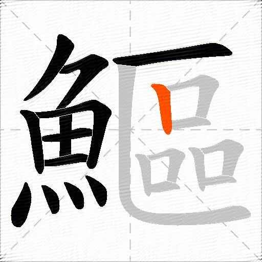 鰸