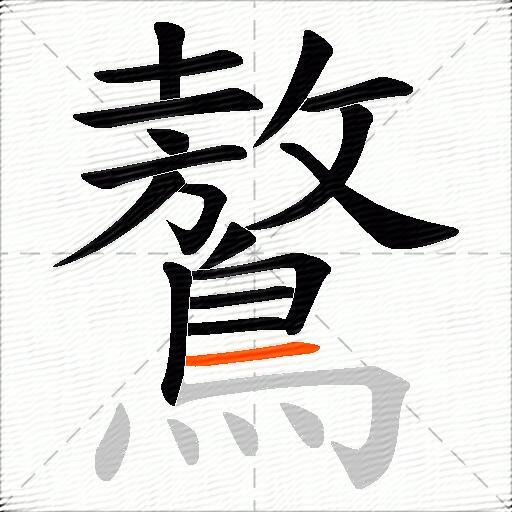 鷔