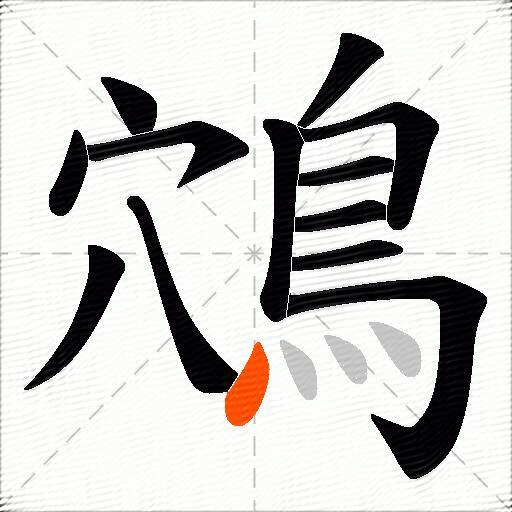 鴪