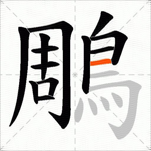 鵰