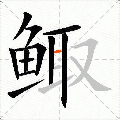 鲰