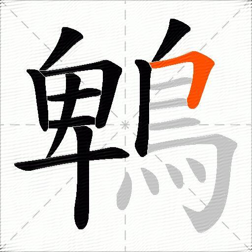 鵯