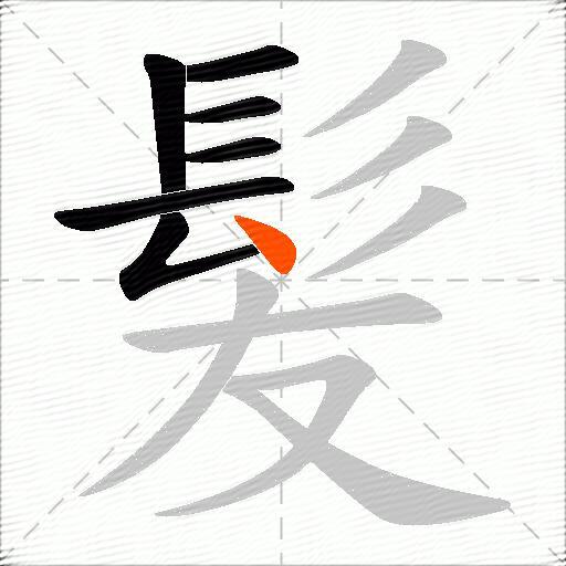髪