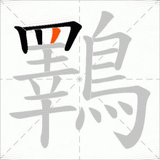 鸅