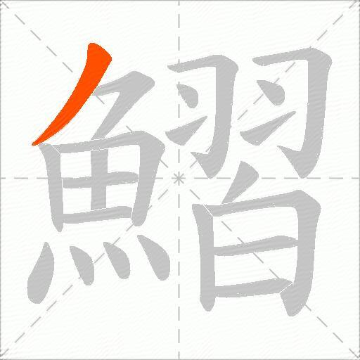 鰼
