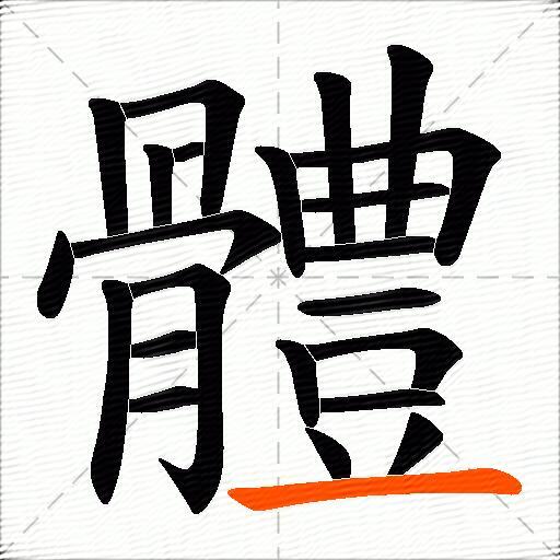 體