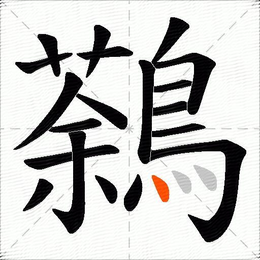鷋