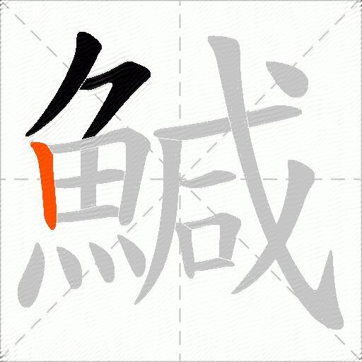 鰔