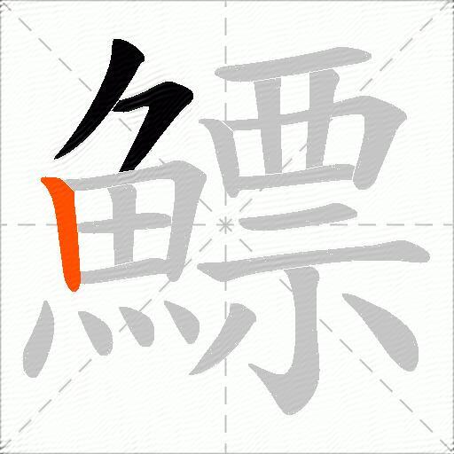 鰾