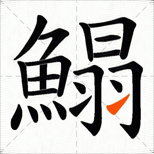 鰨