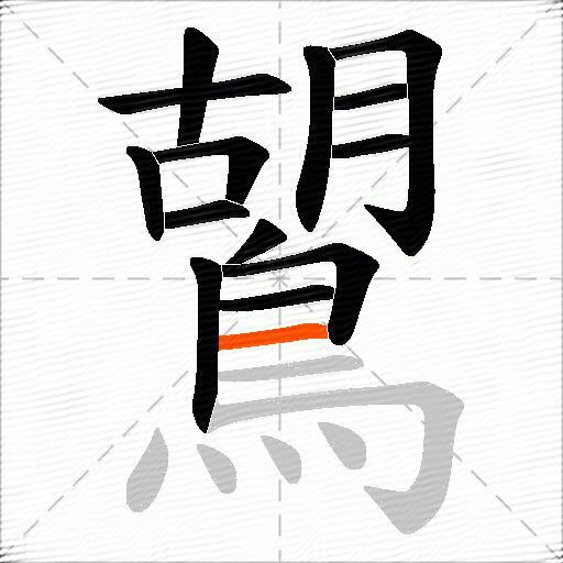 鶦